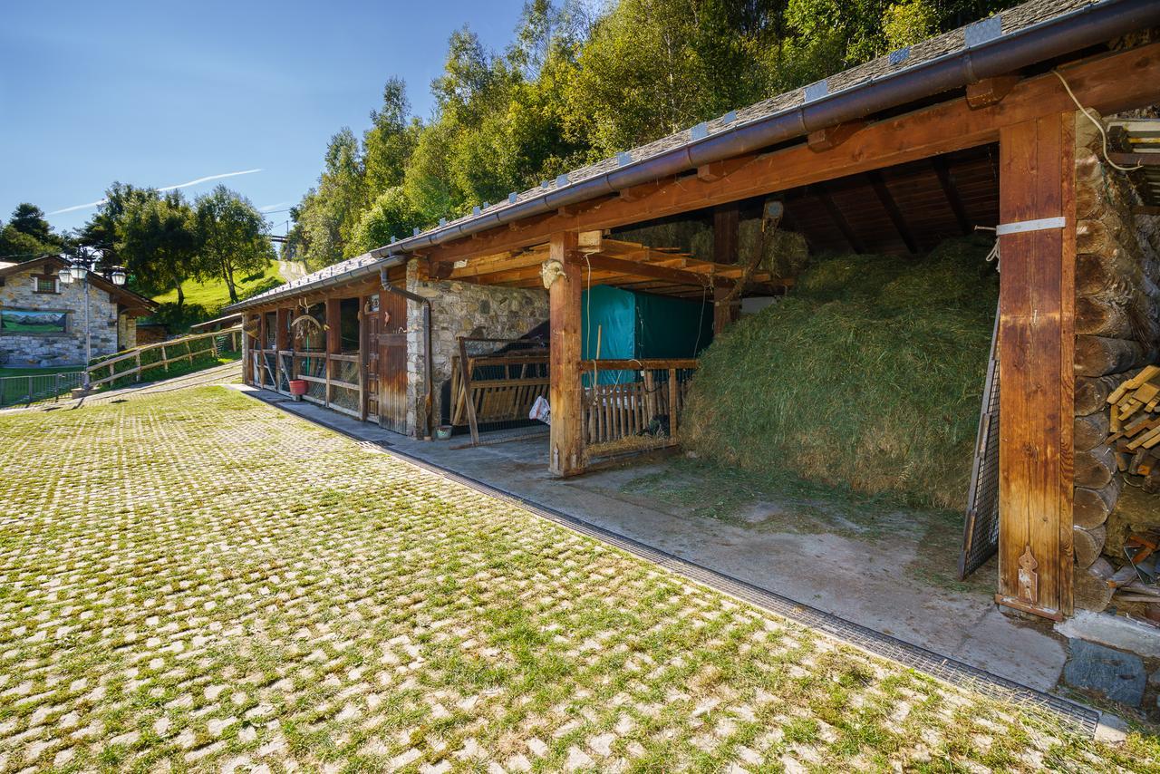 Agriturismo Giacomino Джера-Ларіо Екстер'єр фото